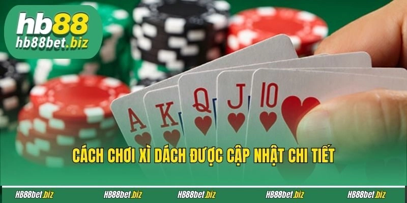 Cách chơi Xì Dách được cập nhật chi tiết