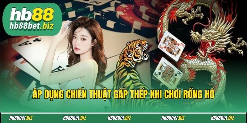 Áp dụng chiến thuật gấp thếp khi chơi Rồng Hổ