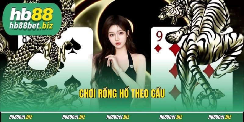 Chơi Rồng Hổ theo cầu