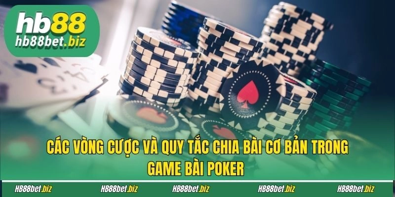 Các vòng cược và quy tắc chia bài cơ bản trong game bài Poker 