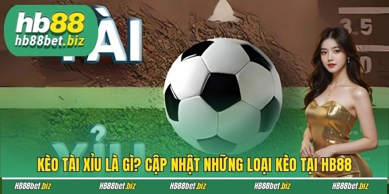 Kèo Tài Xỉu Là Gì? Cập Nhật Những Loại Kèo Tại Hb88